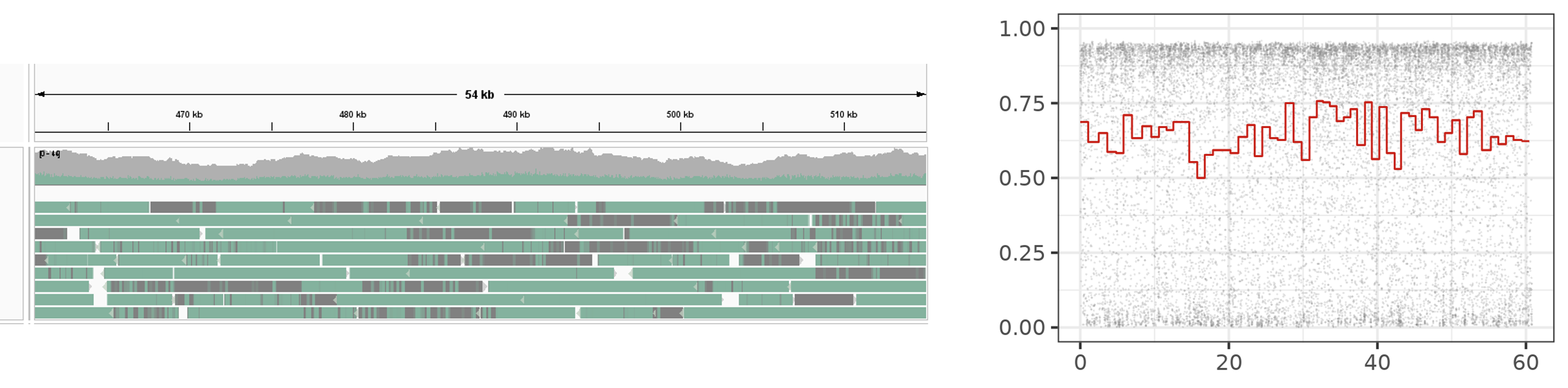 Compare IGV and rain plot visualization