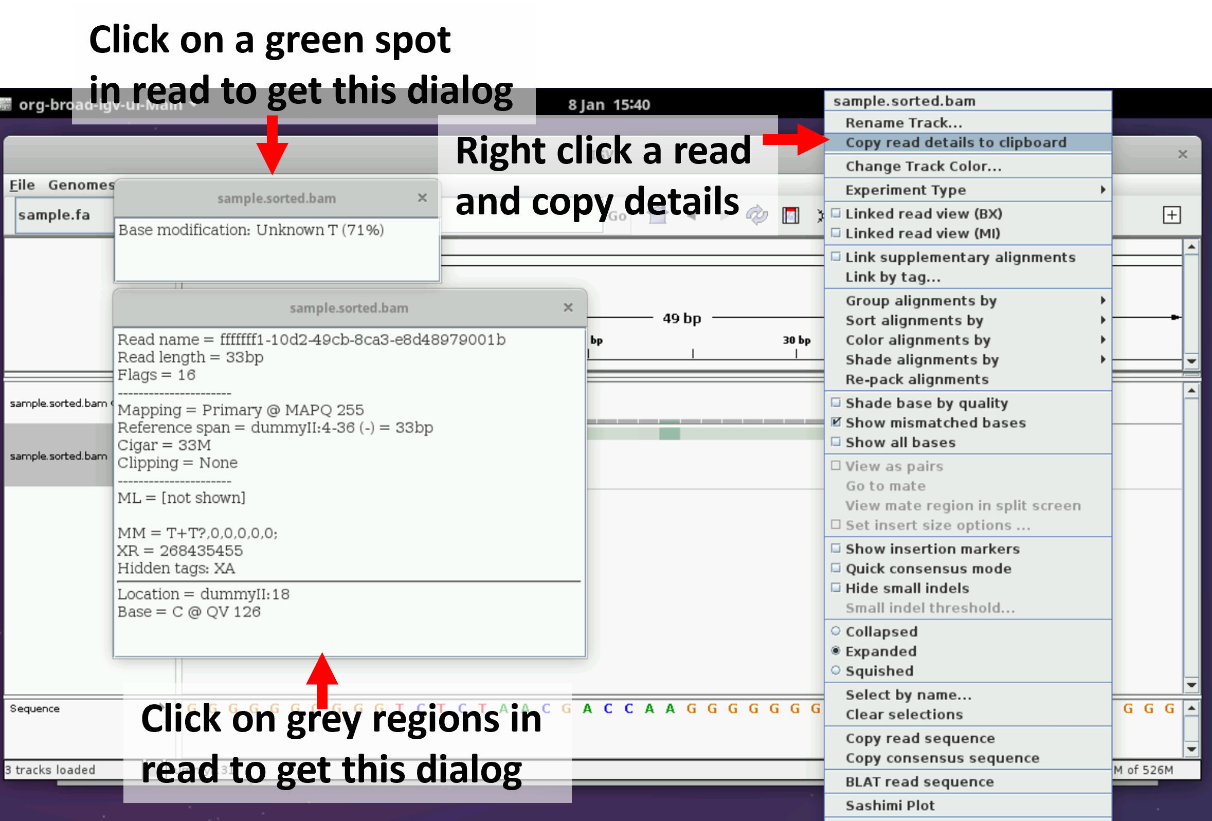 IGV view with read dialog boxes