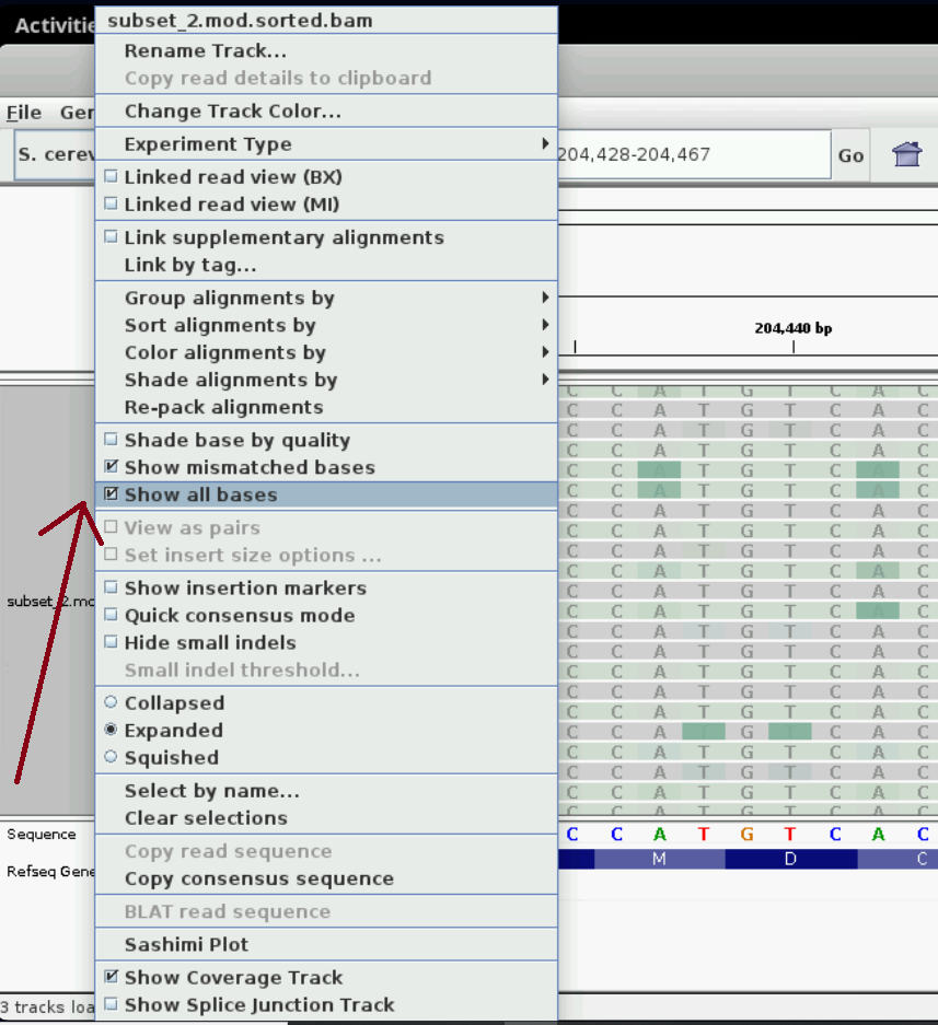 IGV view with all bases visible