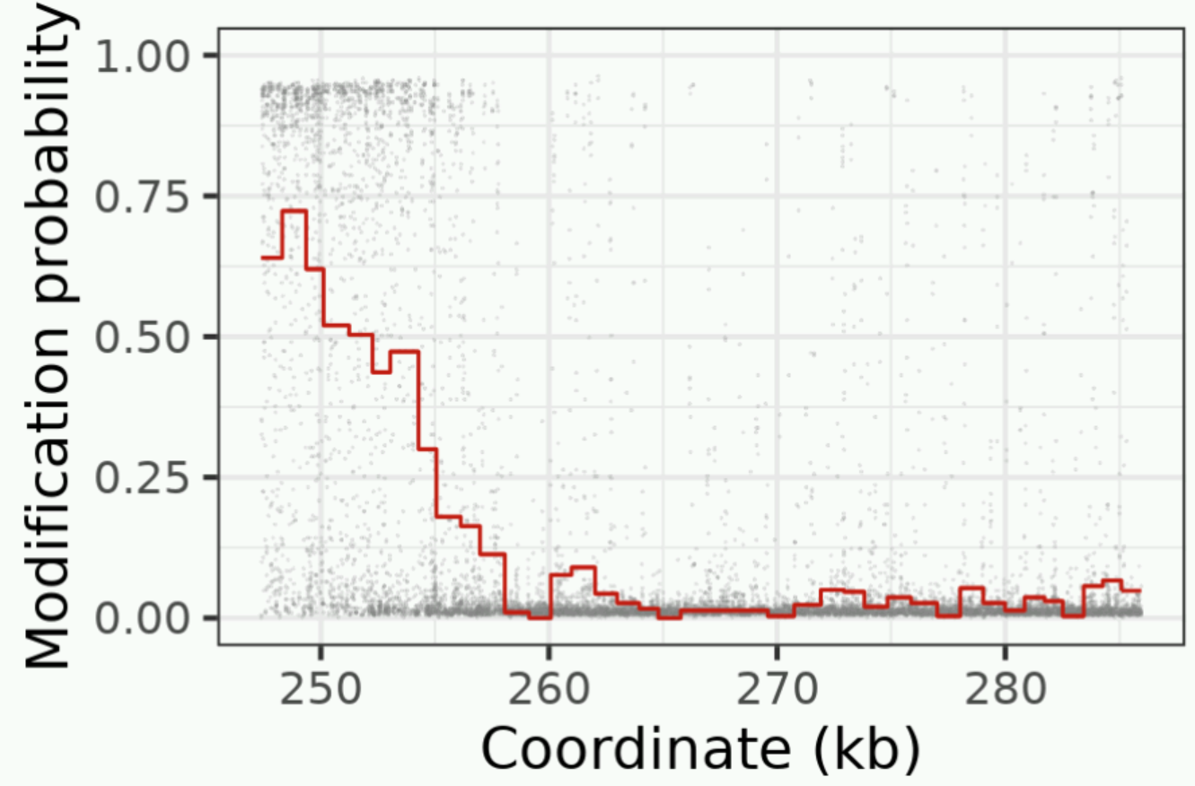 Rain plot visualization